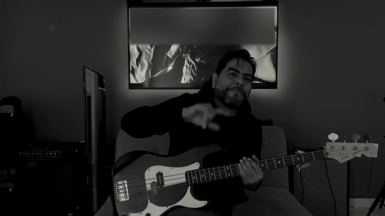 Linkin Park  - Somewhere i belong Bass Cover