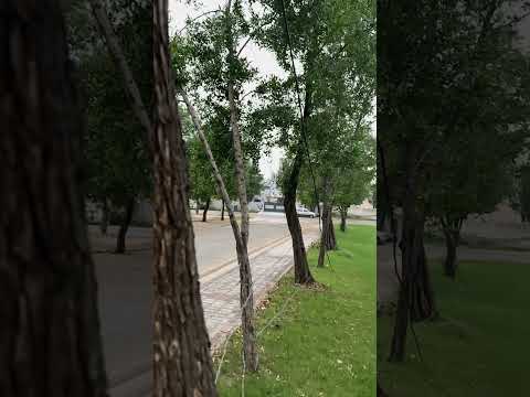 Noor Jahan And Mohd Rafi Yahan Badla Wafa Ka Bewafai Rare Song Before Partion Of India 1947