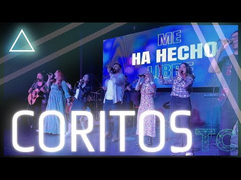 Coritos Miel San