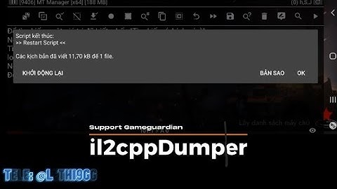 Tools il2cppDumper GameGuardian