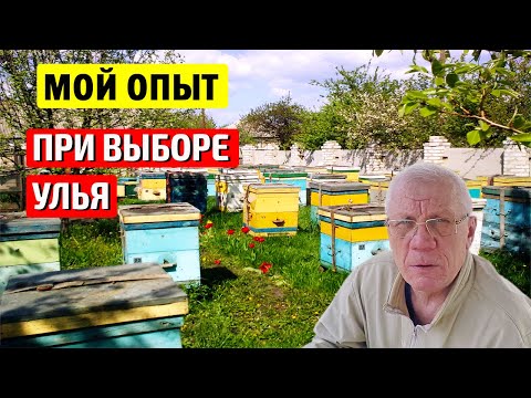 Какой улей выбрать?