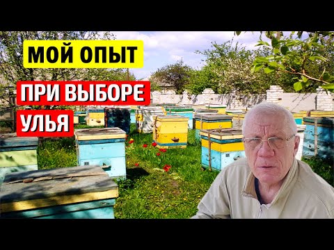 Какой Улей Выбрать Улей Рута. Дадан На 12 Рамок.