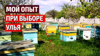 Какой улей выбрать??? Улей  Рута.  Дадан на 12 рамок.