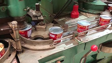 Canned roasted salted peanuts factory in China