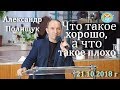 Что такое хорошо, а что такое плохо - 21.10.2018 г - Александр Полищук