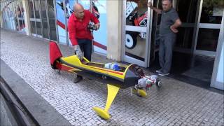 Pedro Precioso Sukhoi 29 Krill Model