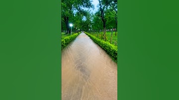 Beauty of smvdu #nature #beauty #naturebeauty #smvdu #billieeilish #billie #shorts #trend