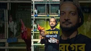 মোরগের আপডেট খাঁচা 😲Shakil Farming