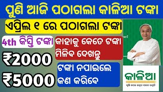 kalia yojana 4th phase money transfer today 2021 | kalia yojana | kalia yojana money 2021 | odisha