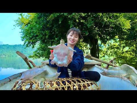 The Girl Unexpectedly Catches a Turtle While Harvesting Fish on the Lake 🐢🐢