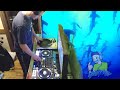 Dj 5h4rk80y live