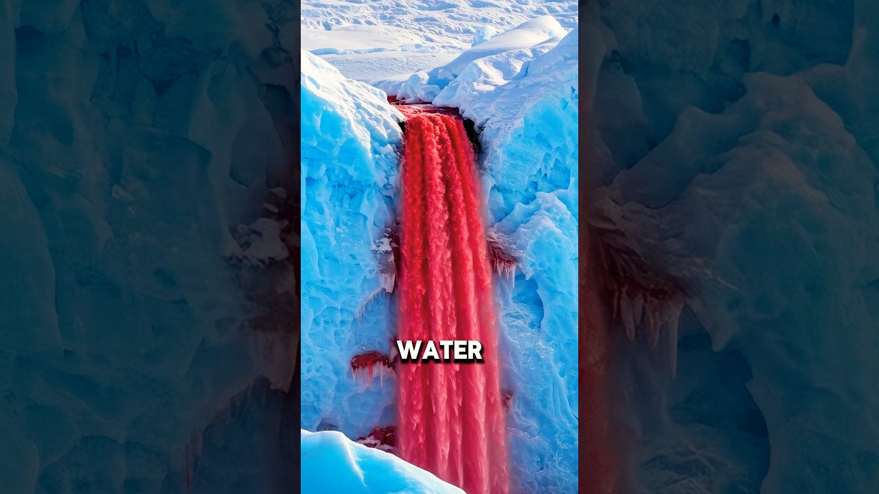 The Glacier That Looks Like It’s Bleeding…