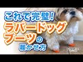 これで完璧！ ラバードッグブーツの履かせ方。