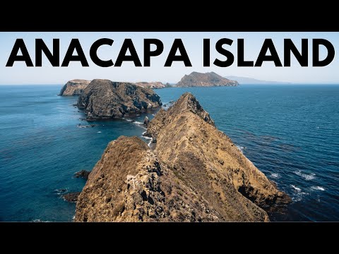 Anacapa Island Day Trip in Channel Islands National Park