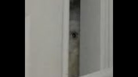 my part in polarize hostedd by meeeeeeeeeeeeeeee