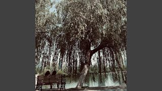 阿卡林