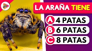 35 Preguntas de Animales🦁🐯¿Cuánto Sabes? |Test de Animales | Trivia-Reto✅