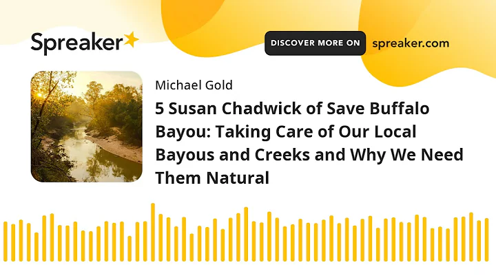 5 Susan Chadwick of Save Buffalo Bayou: Taking Car...