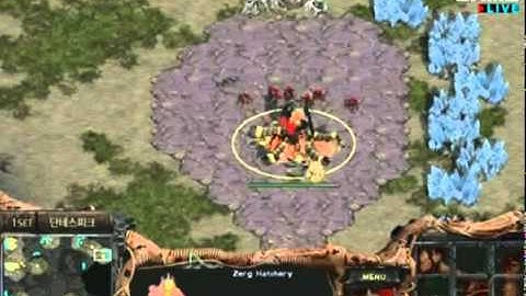 PDPOP MSL Finals - Hydra vs. Great Set 1