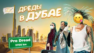 Наши ДРЕДЫ в ДУБАЕ / Pro Dread #20