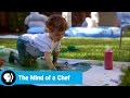 Exploring Culinary Arts and Creativity