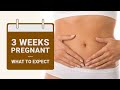 3 Weeks Pregnant: What to Expect