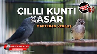 🔴Kompilasi Masteran Srigunting Abu Abu Isian Cililin Kunti vs Kapas Tembak Gacor Kasar