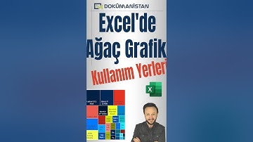 Excel’de Ağaç Grafikle Profesyonel Rapor Hazırla!  #s16