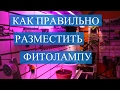 Фитолампы. Как правильно разместить фитолампу.