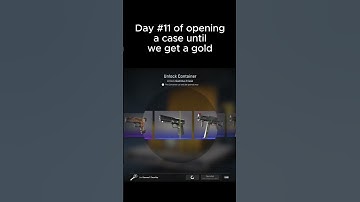 Day #11 of opening a case until we get a gold