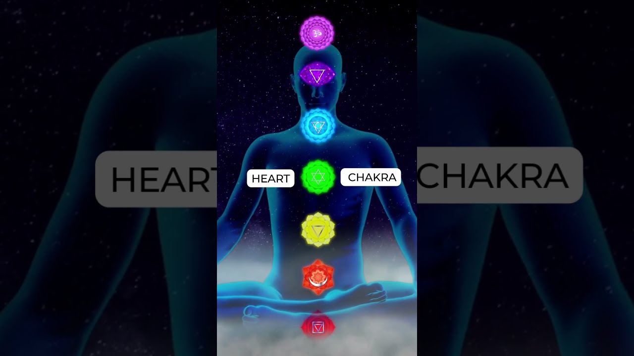 7 Chakras of Human Body | Where Are The 7 Chakras Located