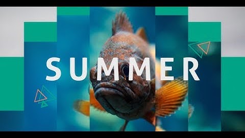 Summer Dynamic Opener - After Effects Template