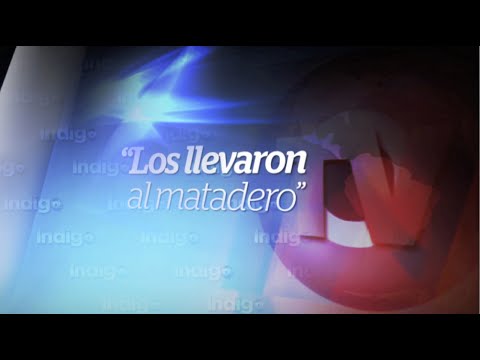 Reporte Indigo (Edición