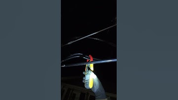 Common Transformer Load Monitoring ⚡🧑‍🔧