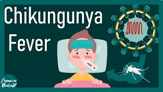Chikungunya explained in 6 minutes | Chikungunya Fever, Causes, Symptoms, Diagnosis and Treatment
For Notes, flashcards, daily quizzes, and practice questions follow
Instagram page: https://www.instagram.com/animatedbiologywitharpan/
Facebook page: https://www.facebook.com/Animated-biology-with-Arpan-109894017509038/?ref=pages_you_manage
Follow me on other social media -
Facebook : https://www.facebook.com/arpan.parich...
Instagram : https://www.instagram.com/arpanparichha/
Linked in : https://in.linkedin.com/in/arpan-pari...
Twitter : https://twitter.com/arpan_parichha?la...
Link to my other channel - Lets crack bio exams https://www.youtube.com/channel/UC4IpyopsGWSjaPACNTZLuqg
The Nerd Medic YouTube channel:
Youtube: https://youtube.com/c/TheNerdMedic00
Instagram: https://instagram.com/ayan_parichha00...
Facebook: https://www.facebook.com/poetsoflens/
For Physics part of bio exams - Physics for IIT JAM biotechnology
https://www.youtube.com/channel/UCJvSHjOoL2FDN85hQbu7vfw
#animated_biology #animated_biology_with_arpan #biology #bio_facts #CSIR_NET #IIT_JAM #IIT_JAM_BT #biotechnology #bioscience #biological_sciences #microbiology #genetics #zoology #molecular_biology #cell_biology #botany #immunology #ecology Chikungunya explained in 6 minutes | Chikungunya Fever, Causes, Symptoms, Diagnosis and Treatment