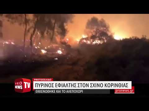 Ανατριχιαστικές εικόνες από την πυρκαγιά στο Σχίνο - Γέμισε στάχτες η Αθήνα