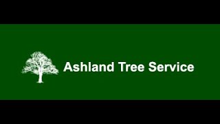 Ashland Tree Service Website Review - Tree Service Raleigh NC