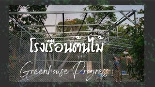 Ep2 โรงเรอน ตนไม Greenhouse สรางโรงเรอนไมใบ โคโลคาเซย ฟโลเดนดรอน มอนสเตอรา ไมดาง