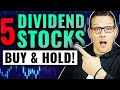 5 Dividend Stocks To Buy And Hold Forever
