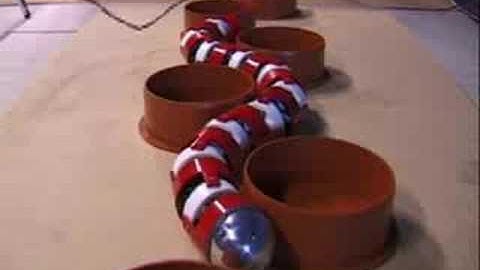 AIKO Snake Robot