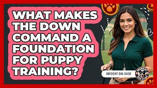 What Makes The Down Command A Foundation For Puppy Training? - Obedient Dog Guide