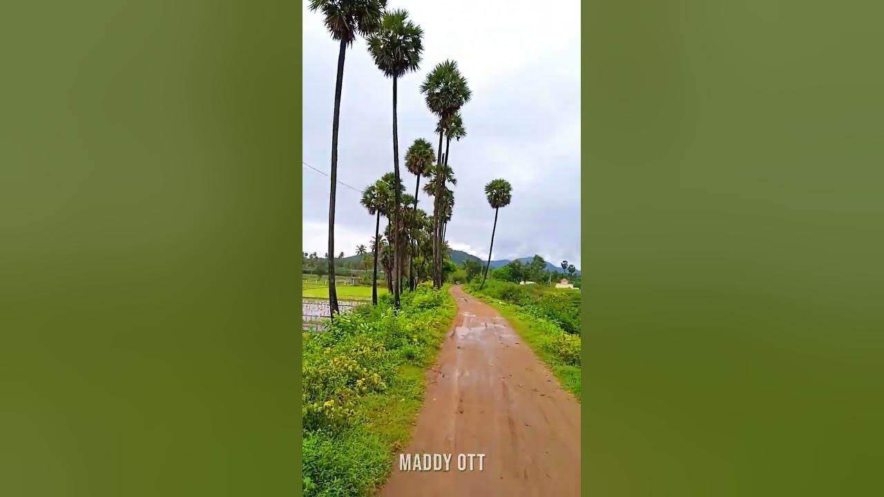 ⚡️🤯 வாழப்பாடி ஏரி ️️ Salem Valapady Lake #shorts #valappadi #lake #