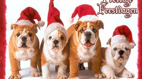 © arpro_media@hotmail.com