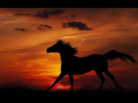 نشيد حنانيك يا ذكريات العمر انشاد ابو أسيد