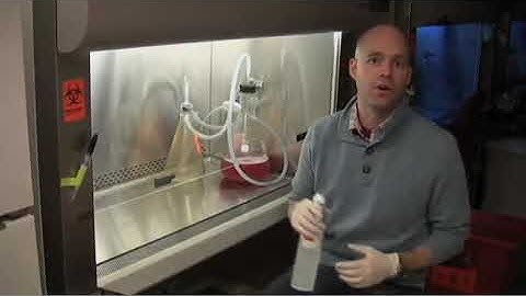 Video Introduction to Sterile Technique