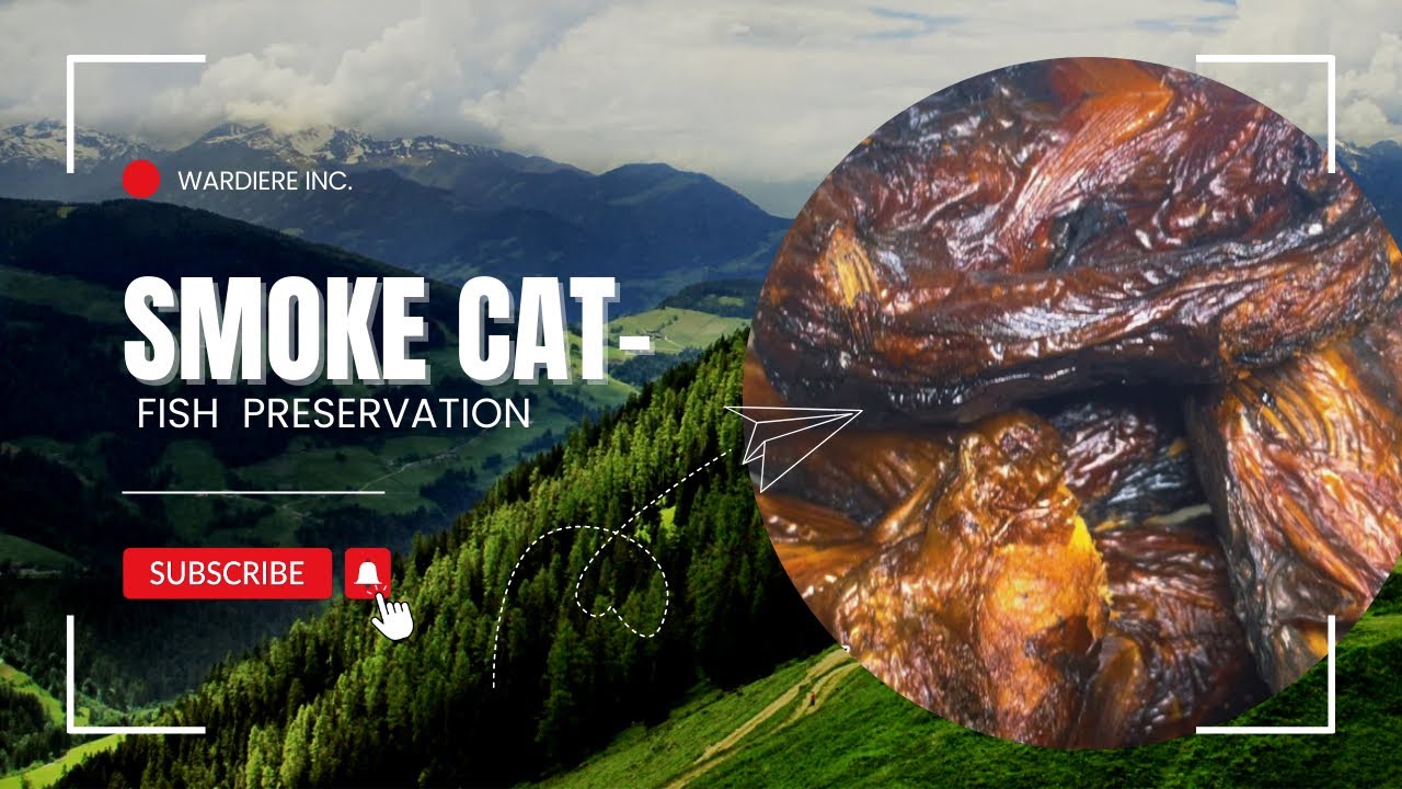 HOW TO PRESERVE YOUR DRIED CATFISH 