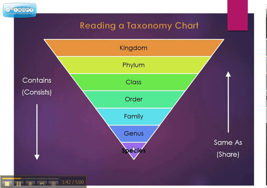 Complete Taxonomy Chart