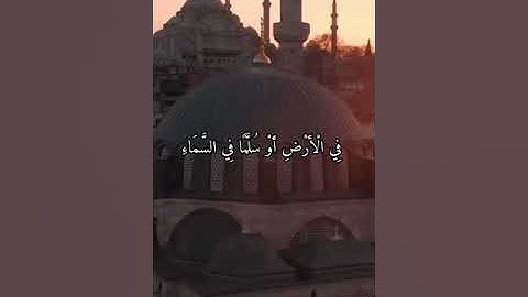 واتس اب قران كريم القارئ علي عبد السلام اليوسف (سوره الأنعام)