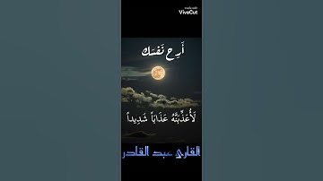 سورة النمل|تلاوة هادئة تريح النفس 🎧😌 {وتفقد الطير فقال ما لي لآ أرى الهدهد..}  #قرآن #راحة_نفسية