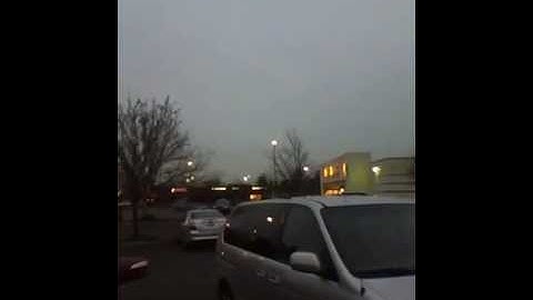 Bird Flocking Behavior